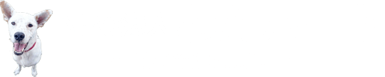 NPO法人わんハート 尊い命達と共に